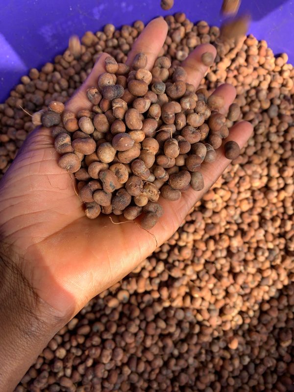 Cold pressed Baobab oil 1 liter