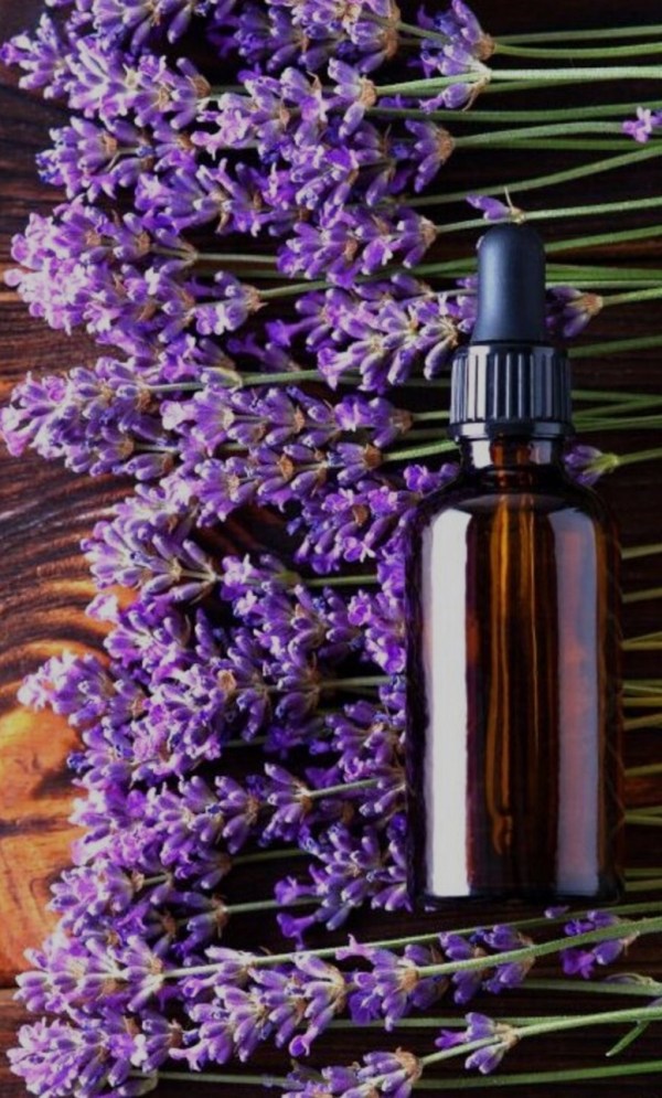 Massage/body oil (Lavender)200ml